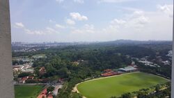 Sky@Eleven (D11), Condominium #555721411